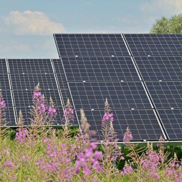 Agrivoltaics