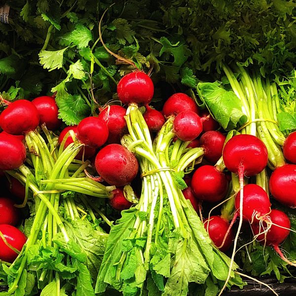 organic-farm-fresh-radishes-2022-10-31-07-55-35-utc